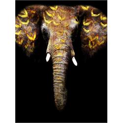 TEMPERED GLASS w/ FOIL - GOLD ELEPHANT SF1228 Image